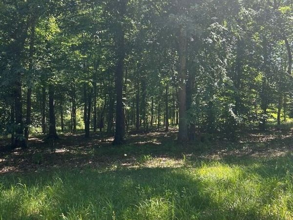 Lot 27 Sportsman Cove, Huntingdon, TN 38344