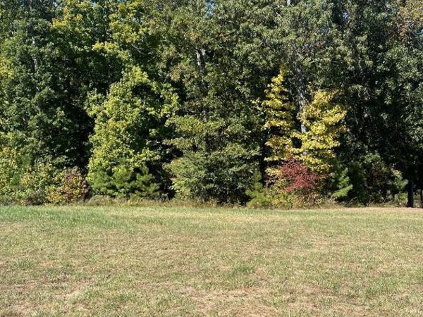 Lot 103 Southern Shores Pt, Huntingdon, TN 38344