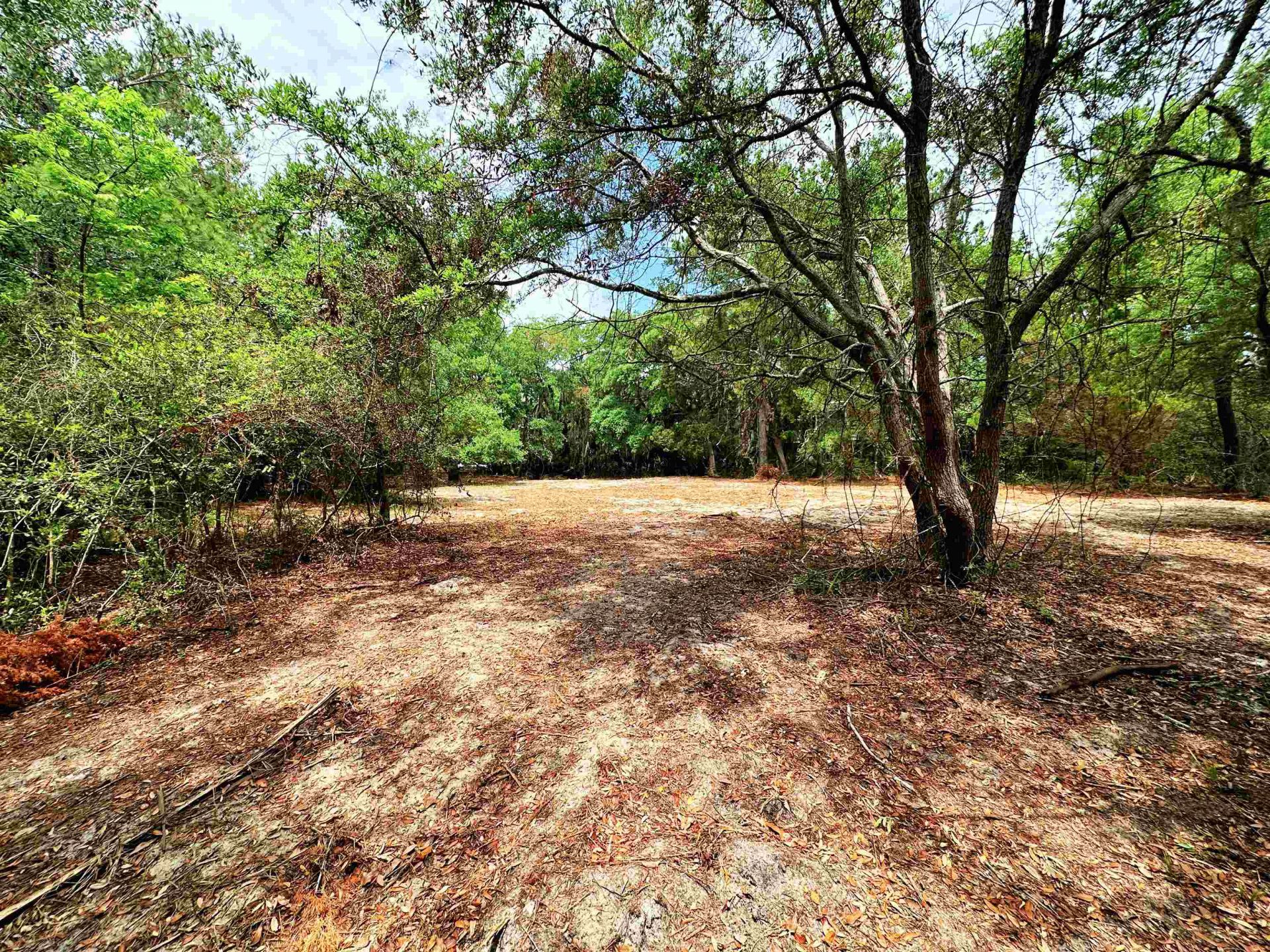 34 Dune Oaks Dr. Photo 4