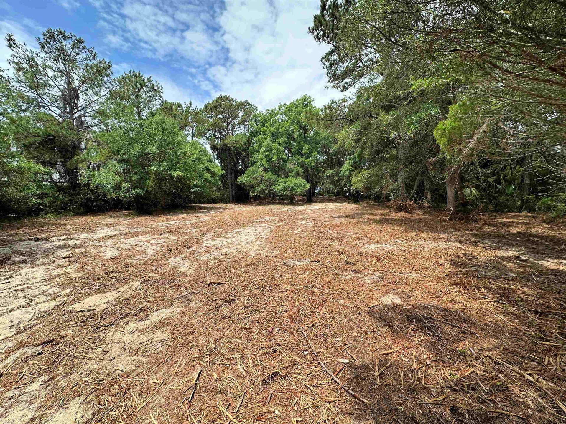 34 Dune Oaks Dr. Photo 5