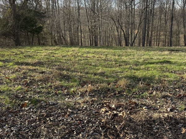 0 N College St, Red Boiling Springs, TN 37150