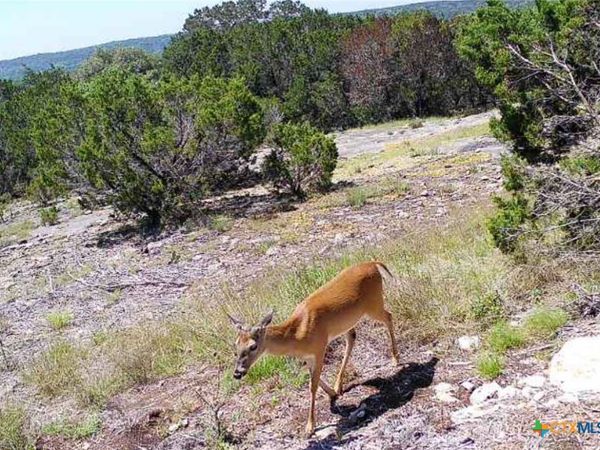 134 Yellowstone Drive, Oglesby, TX 76561