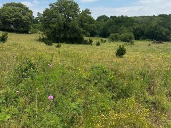 134 Yellowstone Drive , Oglesby, TX 76561