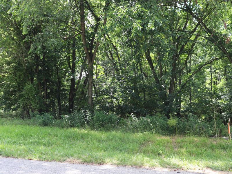 0 McIntosh Court, Unit LOT #321, Howard, OH 43028 Photo 2