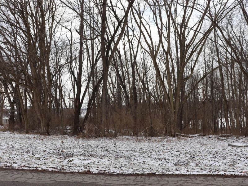 0 McIntosh Court, Unit LOT #321, Howard, OH 43028 Photo 2