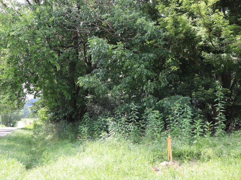 0 McIntosh Court, Unit LOT #321, Howard, OH 43028 Photo 3