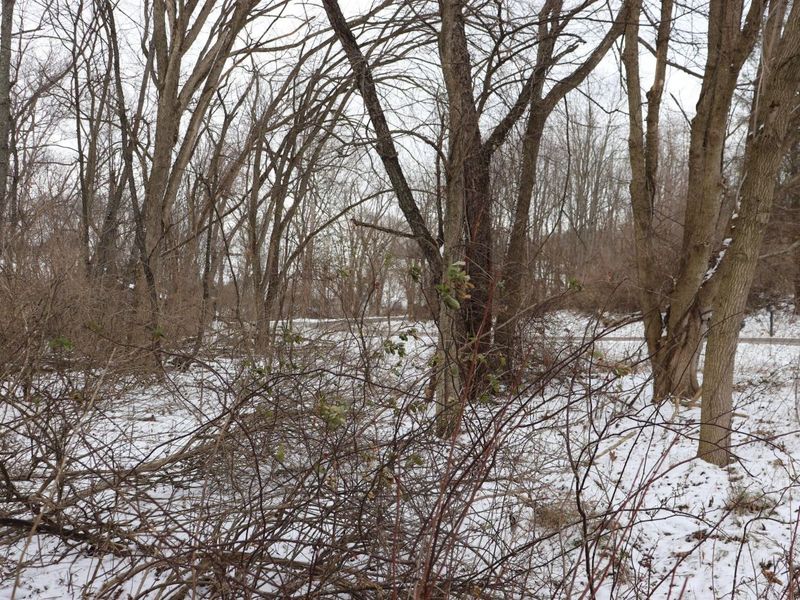 0 McIntosh Court, Unit LOT #321, Howard, OH 43028 Photo 3