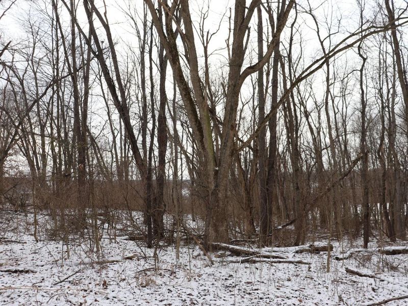 0 McIntosh Court, Unit LOT #321, Howard, OH 43028 Photo 4