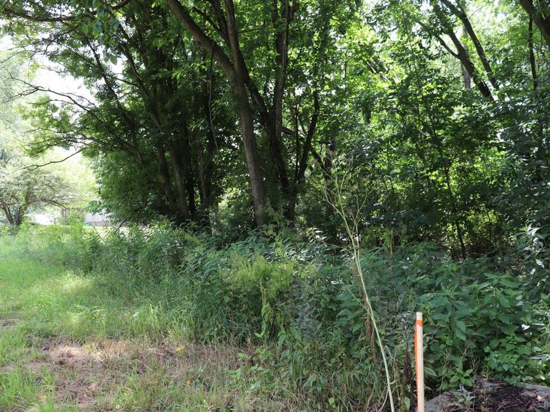 0 McIntosh Court, Unit LOT #321, Howard, OH 43028 Photo 7