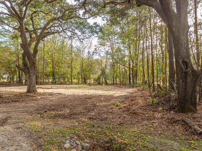 5379 Old Military Road, Adams Run, SC 29426