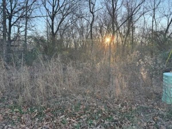 Lot 6 Roessler Lane, Bella Vista, AR 72715