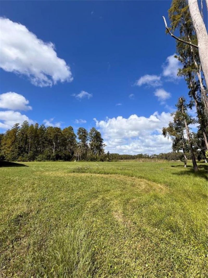 1029 Van Dyke Road, Lutz, FL 33548 Photo