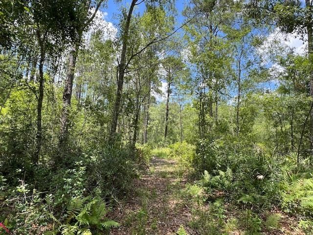 Tbd SW Open Sands Loop, Greenville, FL 00000 Photo