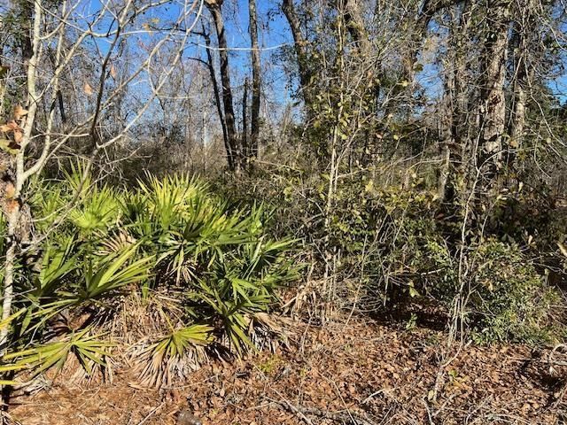 Tbd SW Open Sands Loop, Greenville, FL 00000 Photo