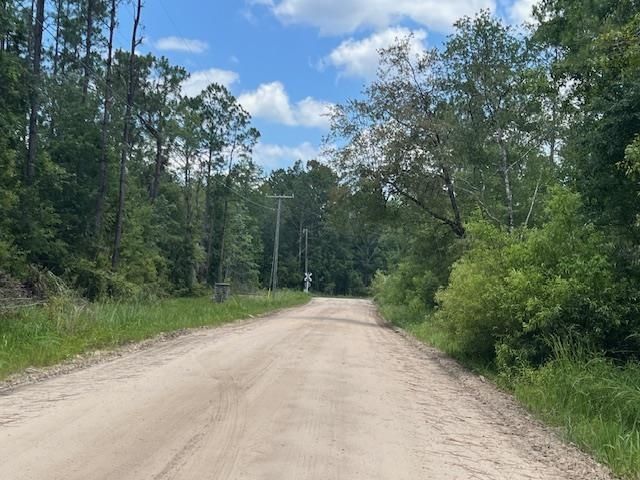 Tbd SW Open Sands Loop, Greenville, FL 00000 Photo