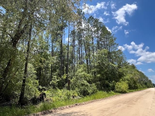 Tbd SW Open Sands Loop, Greenville, FL 00000 Photo