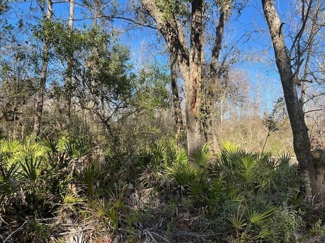 Tbd SW Open Sands Loop, Greenville, FL 00000 Photo