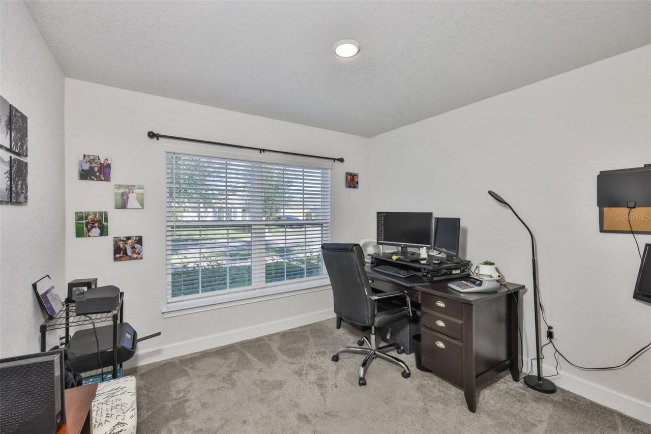 14524 Scottburgh Glen Drive, Wimauma, FL 33598 Photo