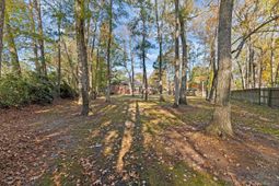 4431 Wild Thicket Lane photo 4