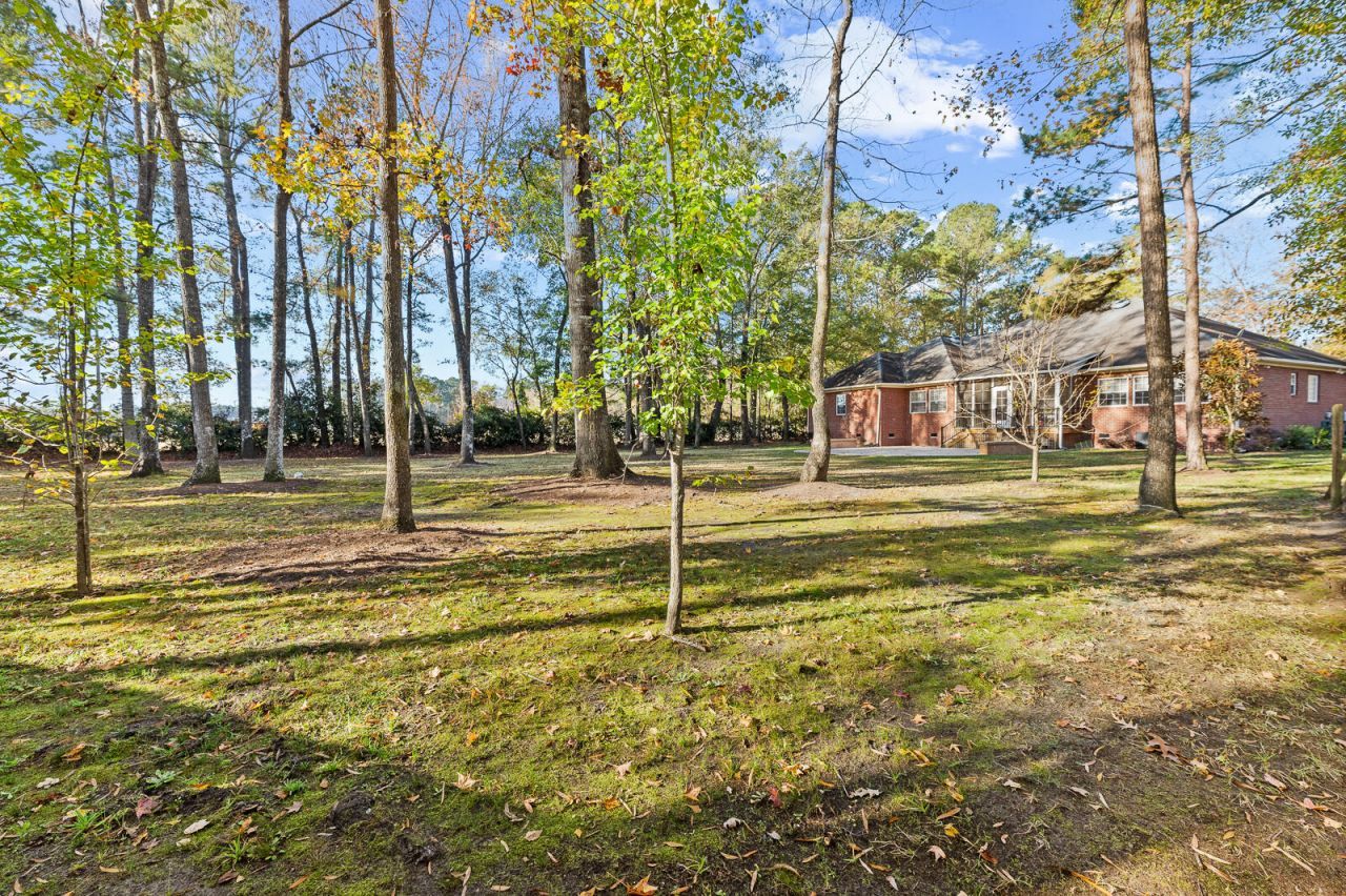 4431 Wild Thicket Lane Photo 33