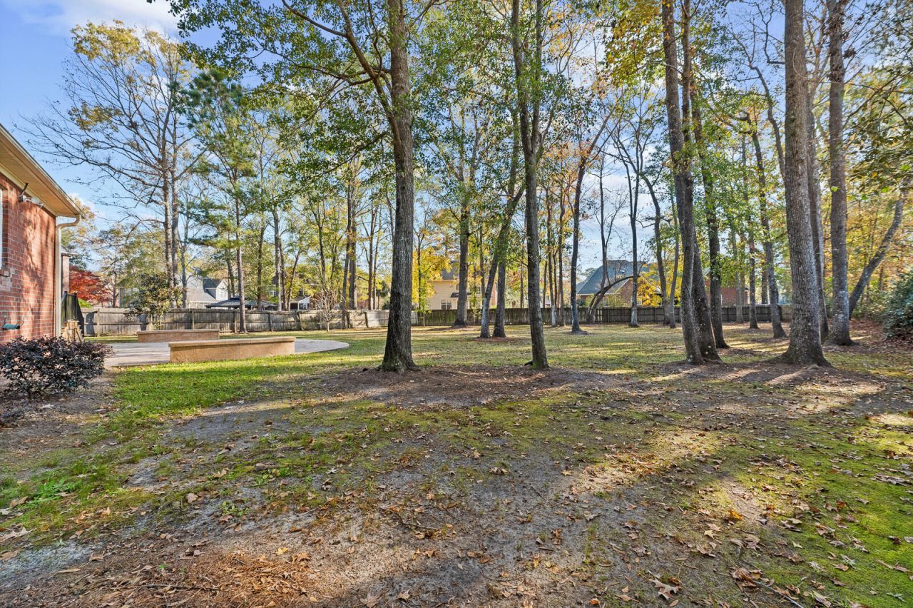 4431 Wild Thicket Lane Photo 38
