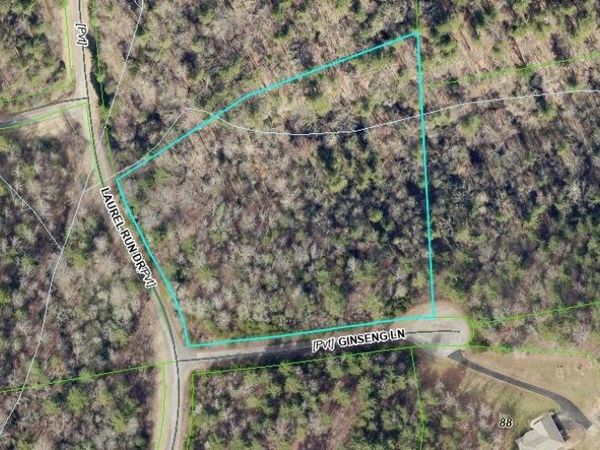 00 Ginseng LN, Callaway, VA 24067