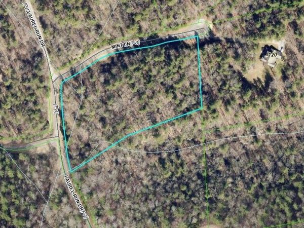 000 Mint LN, Callaway, VA 24067