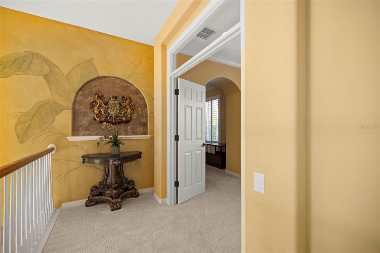 4165 Moreno Drive, Palm Harbor, FL 34685 Photo