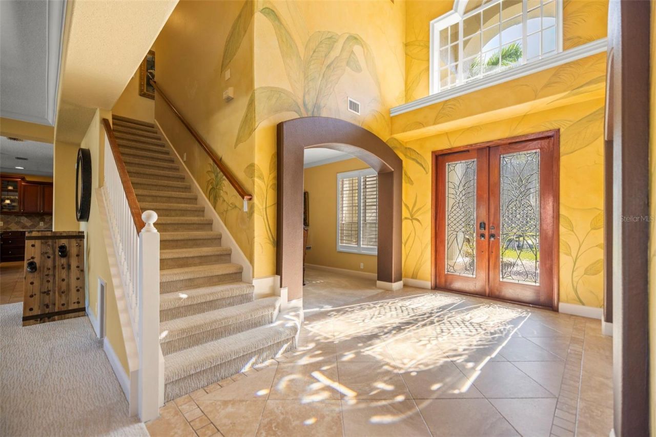 4165 Moreno Drive, Palm Harbor, FL 34685 Photo