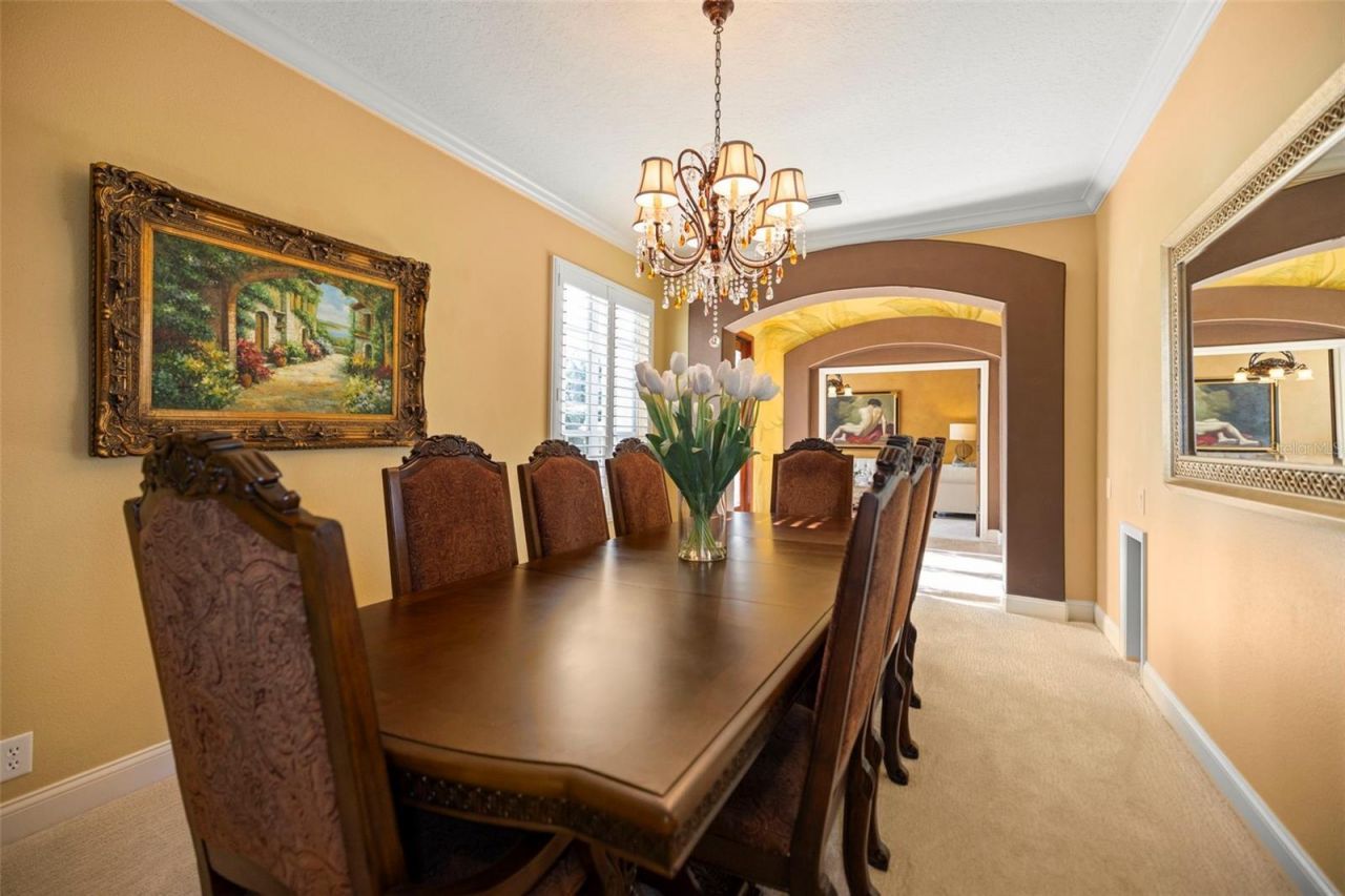 4165 Moreno Drive, Palm Harbor, FL 34685 Photo