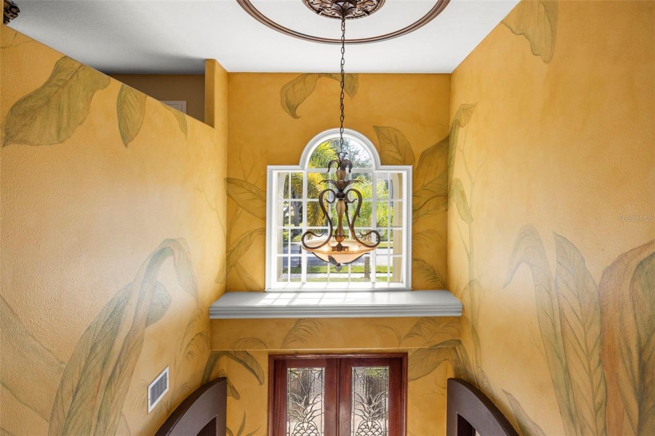 4165 Moreno Drive, Palm Harbor, FL 34685 Photo