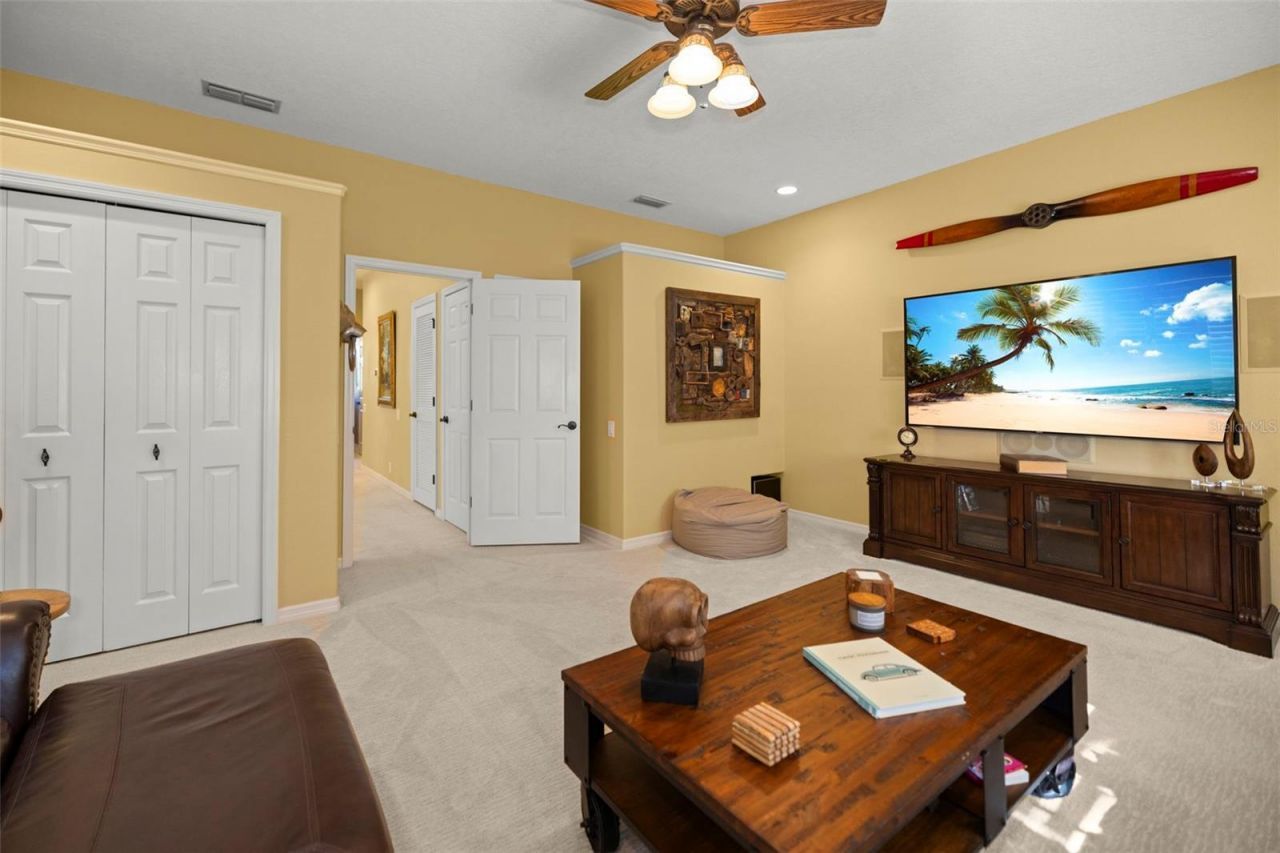 4165 Moreno Drive, Palm Harbor, FL 34685 Photo