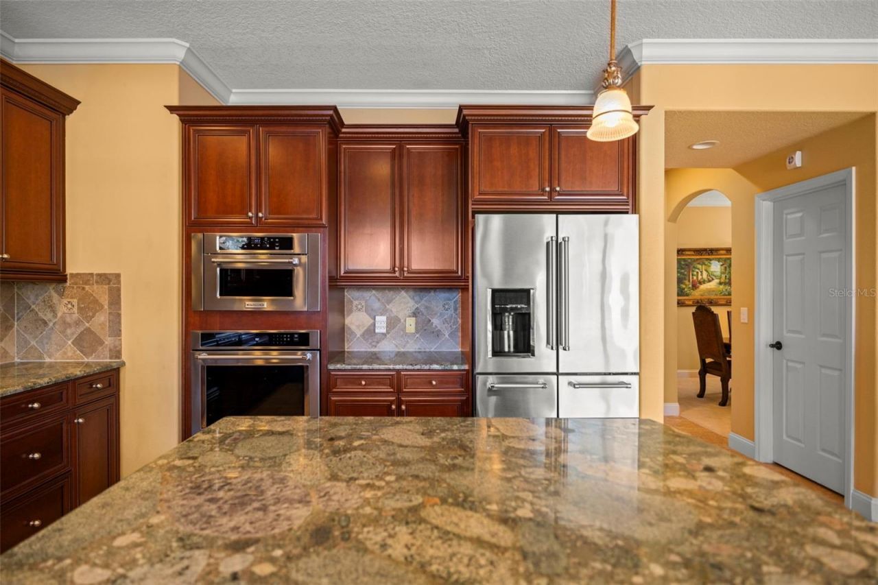 4165 Moreno Drive, Palm Harbor, FL 34685 Photo