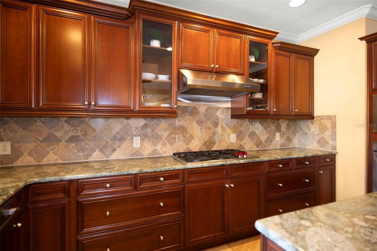 4165 Moreno Drive, Palm Harbor, FL 34685 Photo