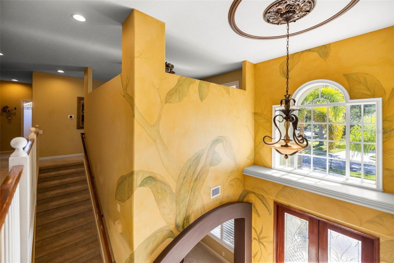 4165 Moreno Drive, Palm Harbor, FL 34685 Photo