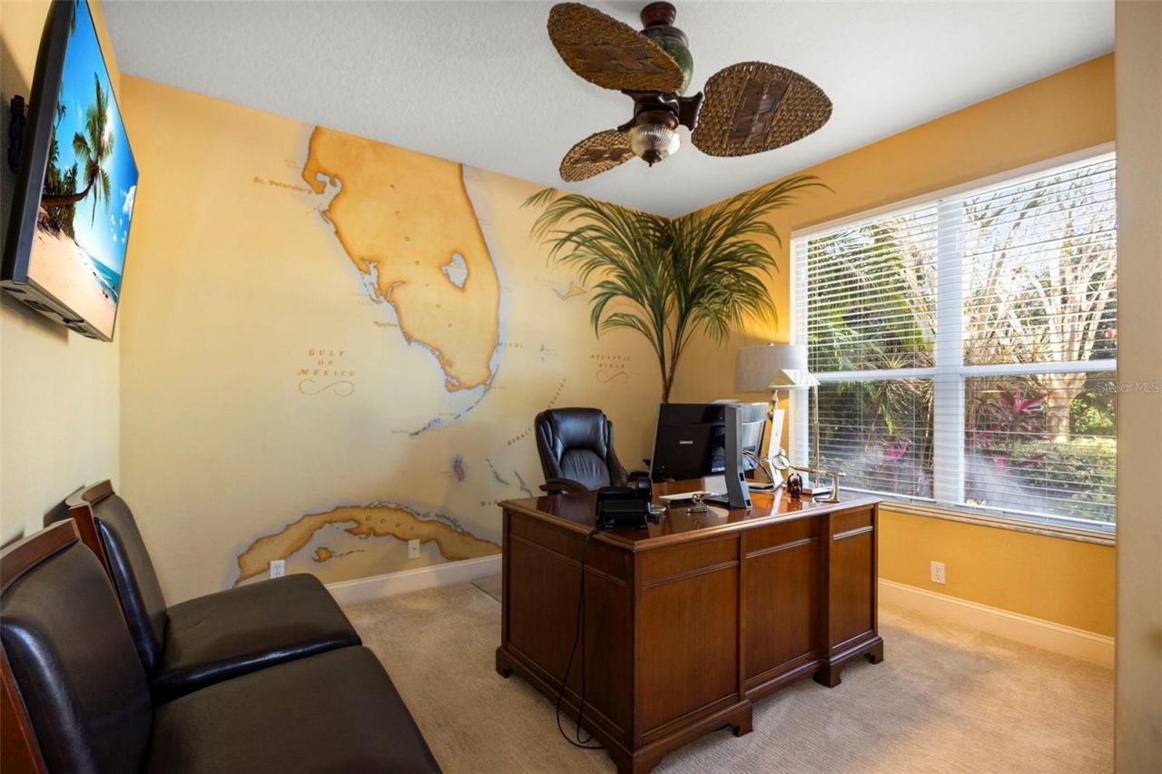 4165 Moreno Drive, Palm Harbor, FL 34685 Photo