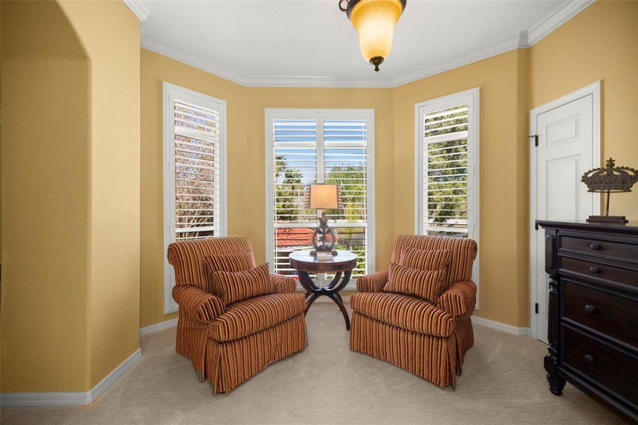 4165 Moreno Drive, Palm Harbor, FL 34685 Photo