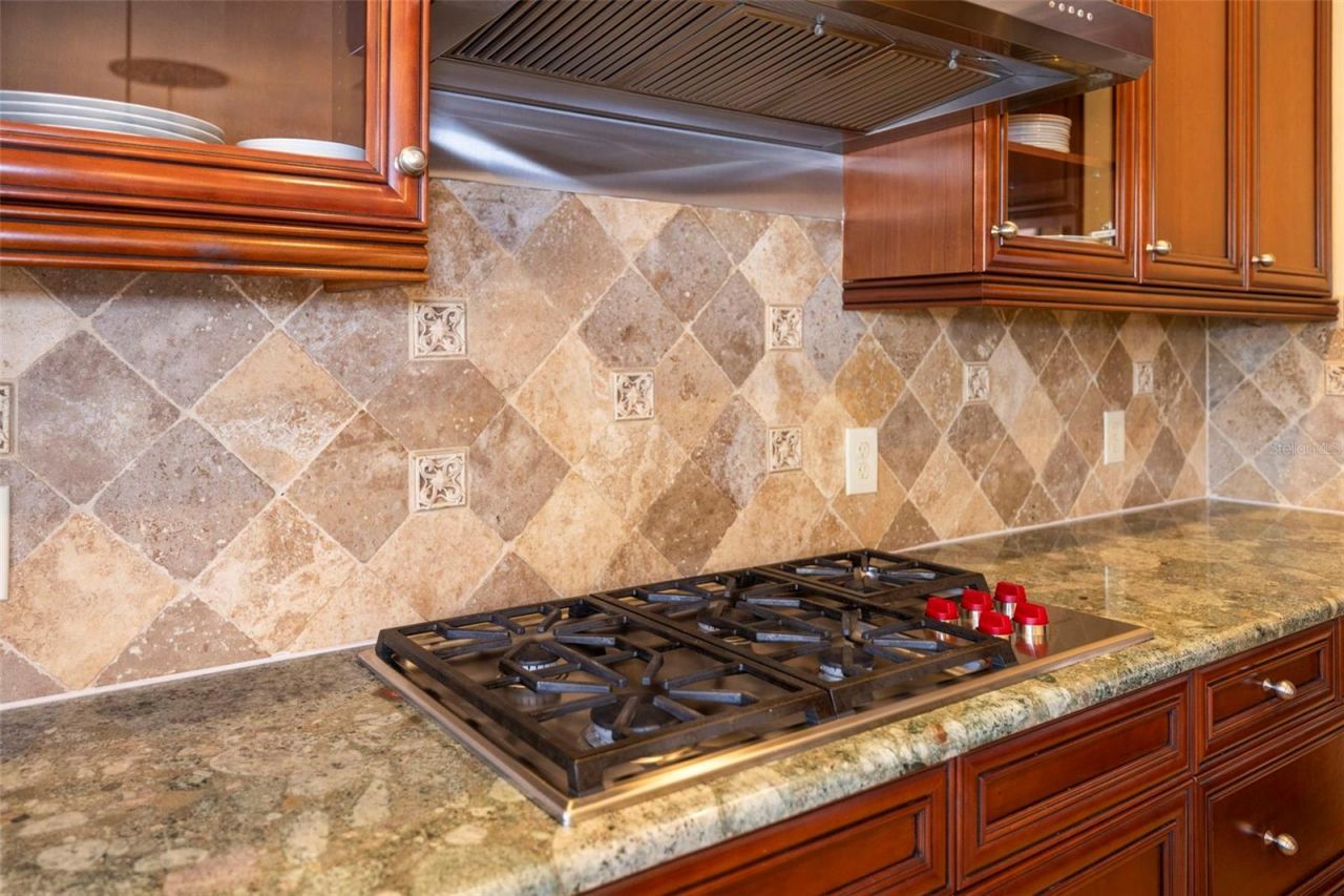 4165 Moreno Drive, Palm Harbor, FL 34685 Photo