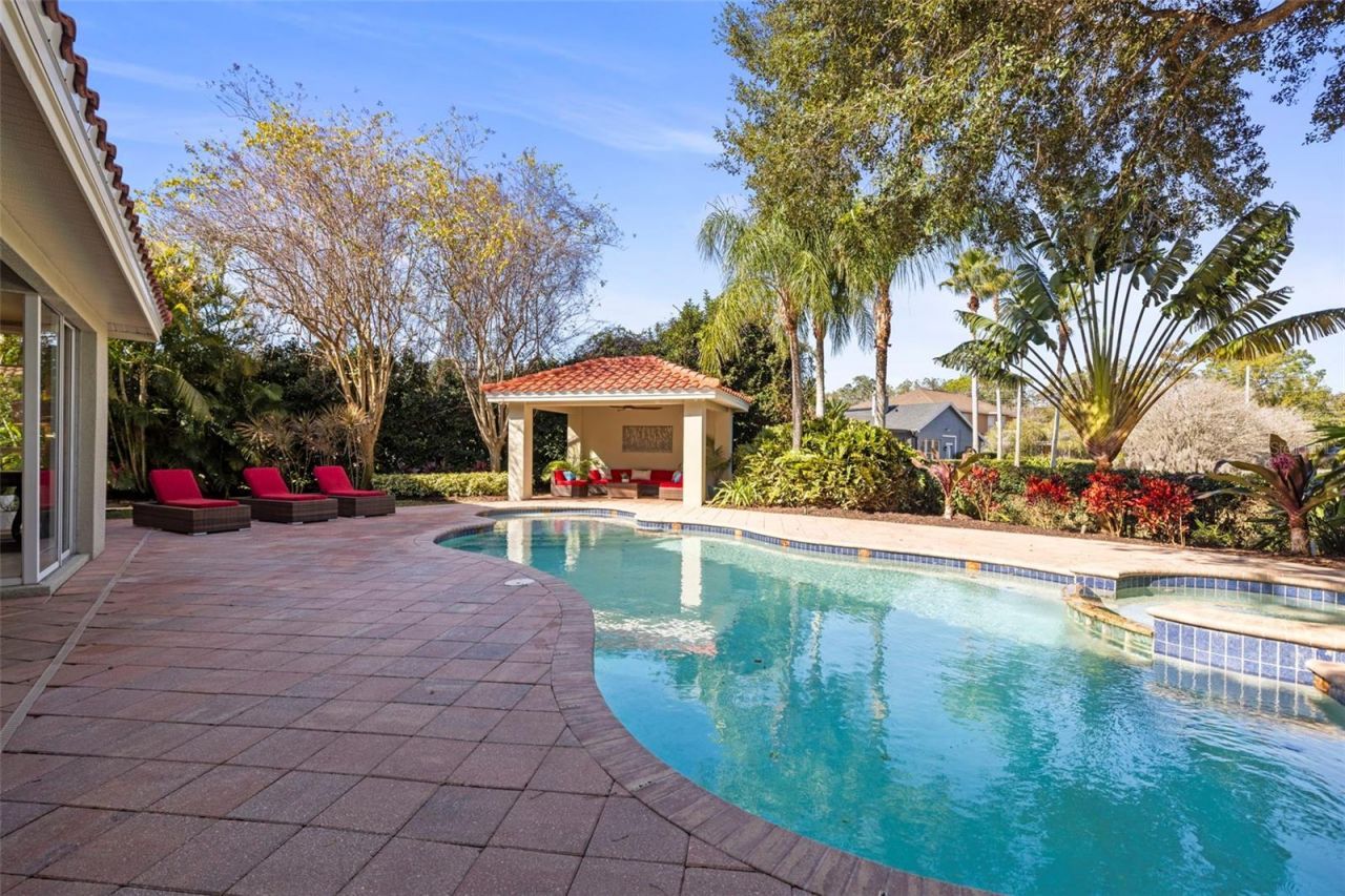 4165 Moreno Drive, Palm Harbor, FL 34685 Photo