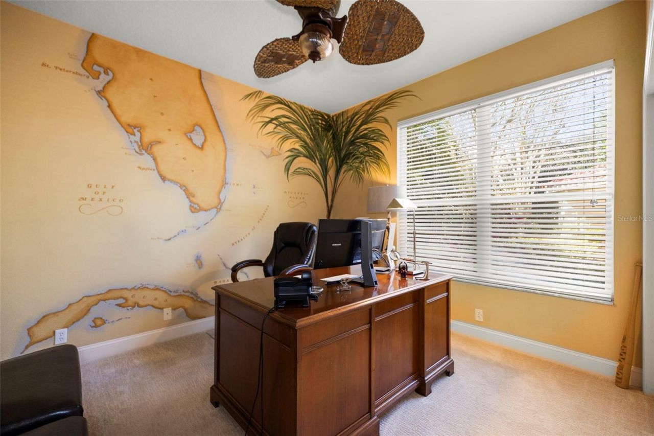 4165 Moreno Drive, Palm Harbor, FL 34685 Photo