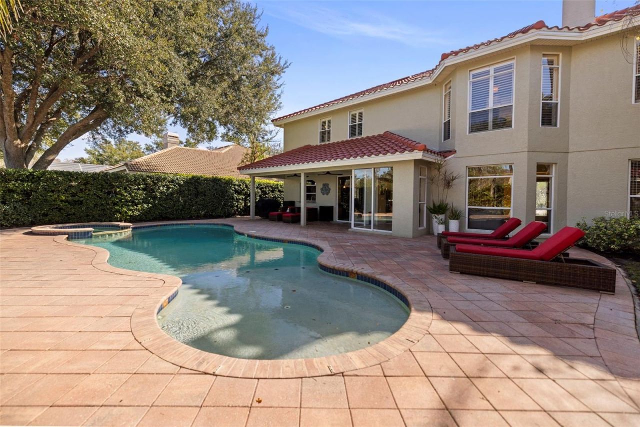 4165 Moreno Drive, Palm Harbor, FL 34685 Photo