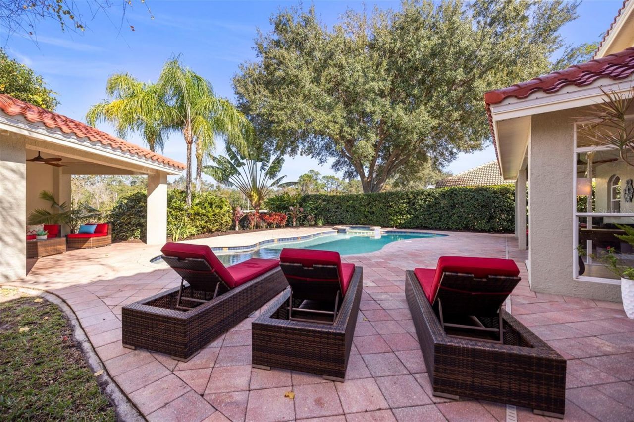 4165 Moreno Drive, Palm Harbor, FL 34685 Photo