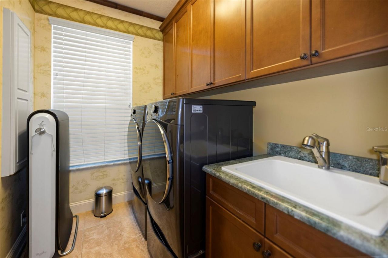 4165 Moreno Drive, Palm Harbor, FL 34685 Photo