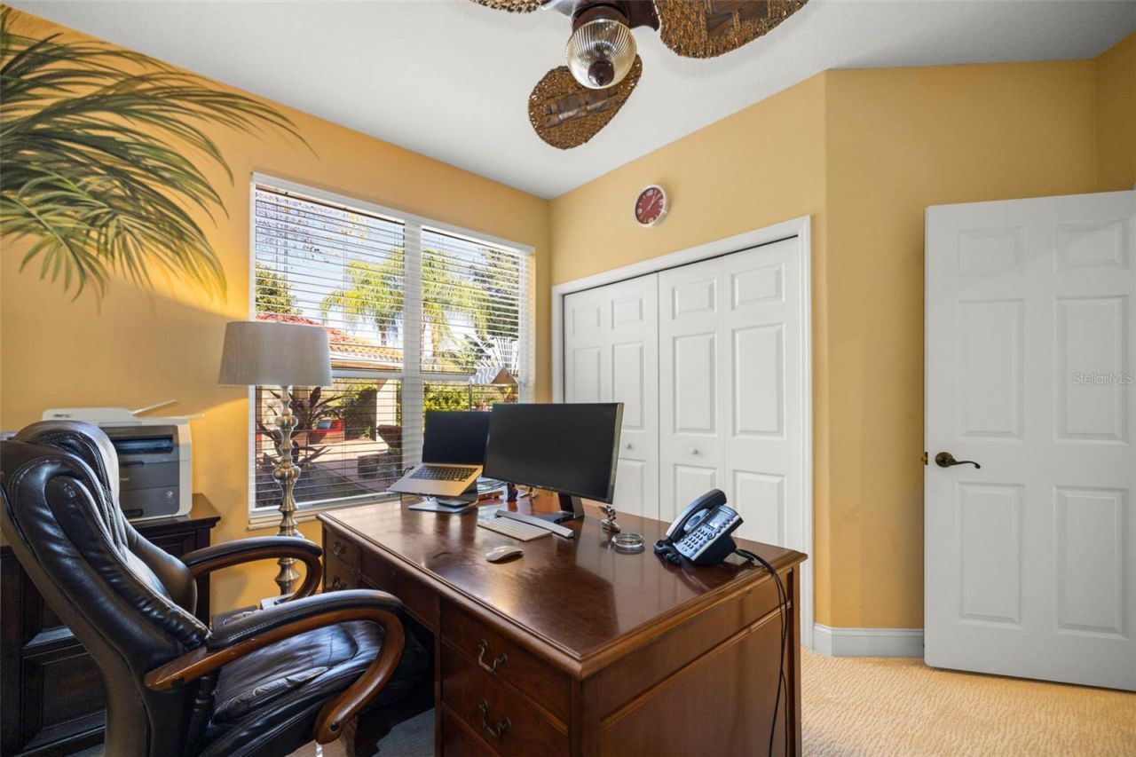 4165 Moreno Drive, Palm Harbor, FL 34685 Photo