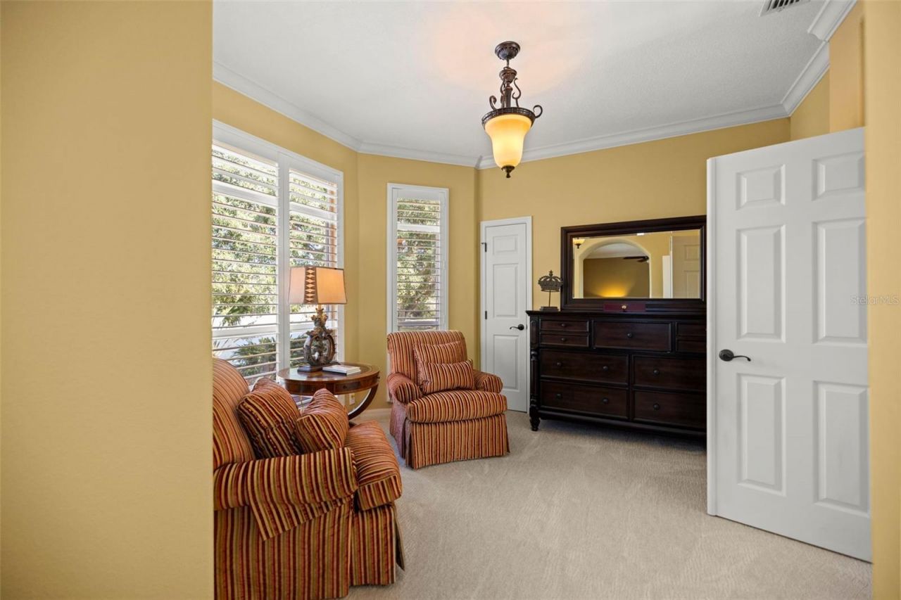 4165 Moreno Drive, Palm Harbor, FL 34685 Photo