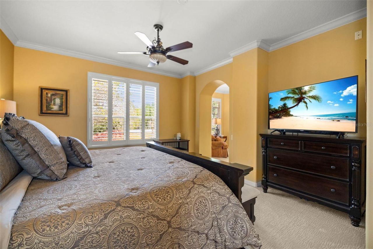 4165 Moreno Drive, Palm Harbor, FL 34685 Photo