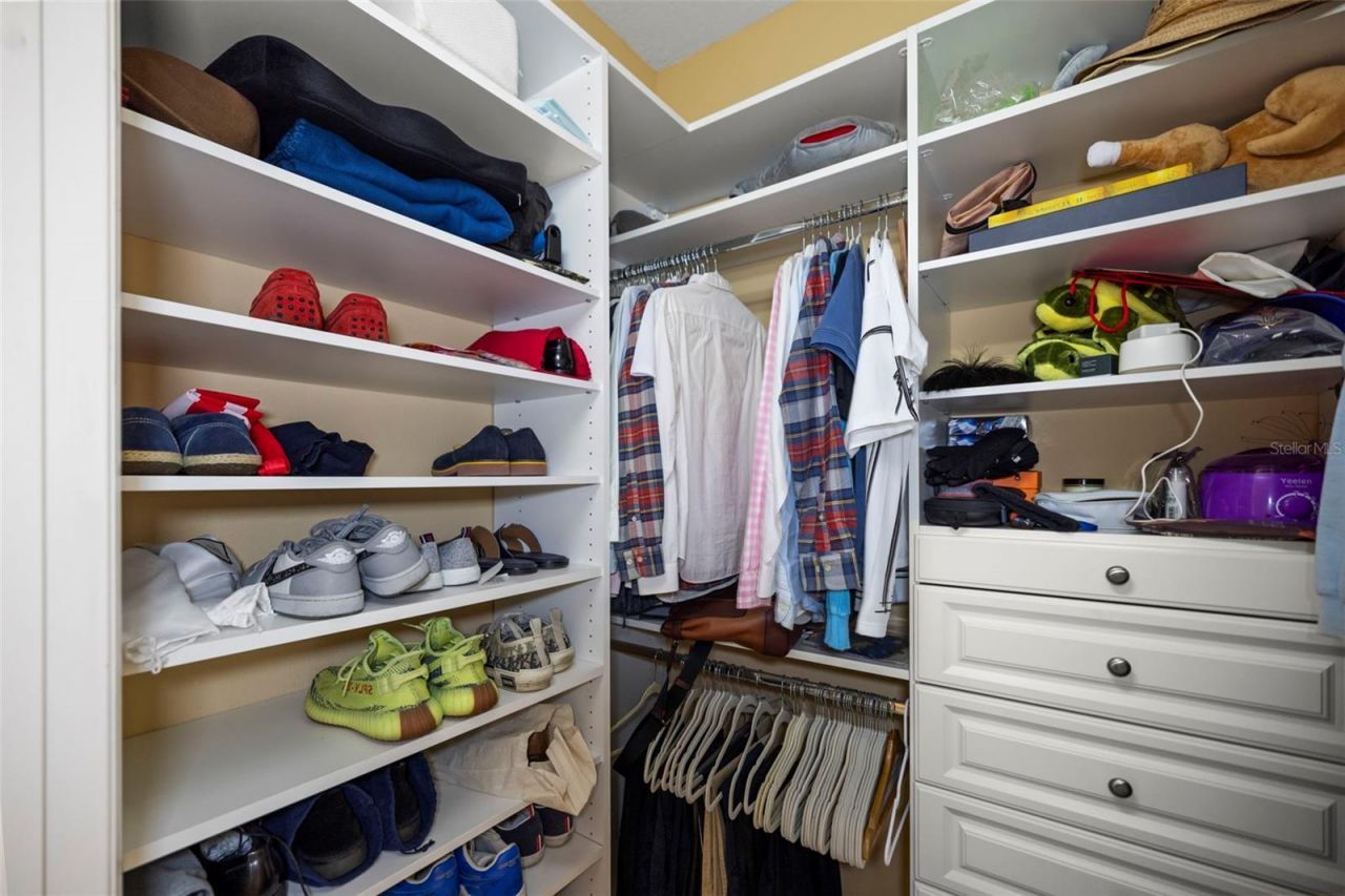 4165 Moreno Drive, Palm Harbor, FL 34685 Photo