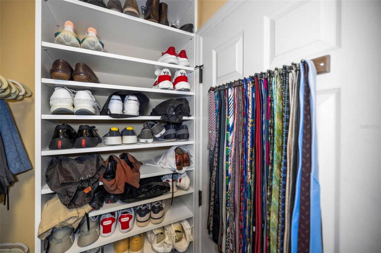 4165 Moreno Drive, Palm Harbor, FL 34685 Photo