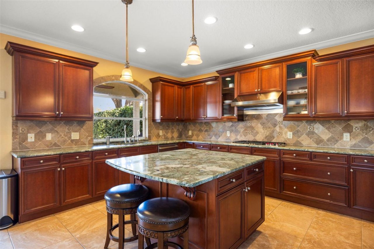 4165 Moreno Drive, Palm Harbor, FL 34685 Photo