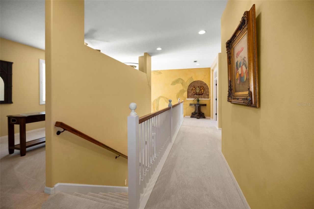 4165 Moreno Drive, Palm Harbor, FL 34685 Photo